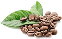 Imagen de cafeína, un componente que potencia la fórmula de Steplex.